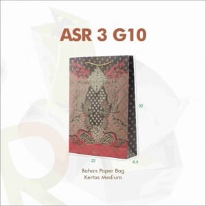 Asr 3/G10
